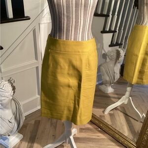 J Crew celadon skirt